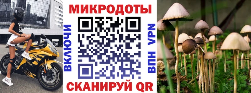 Галлюциногенные грибы мицелий  как найти закладки  Энгельс 